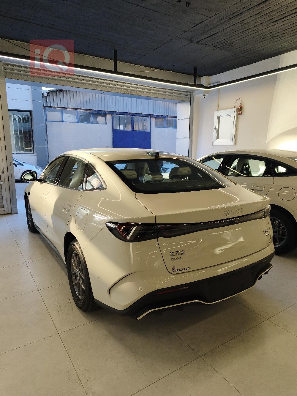 بي واي دي سيل 06 DM-i